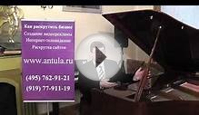 Интернет-магазин музыкальных инструментов
