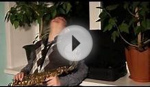 О фильме "Музыкальные инструменты".mpg